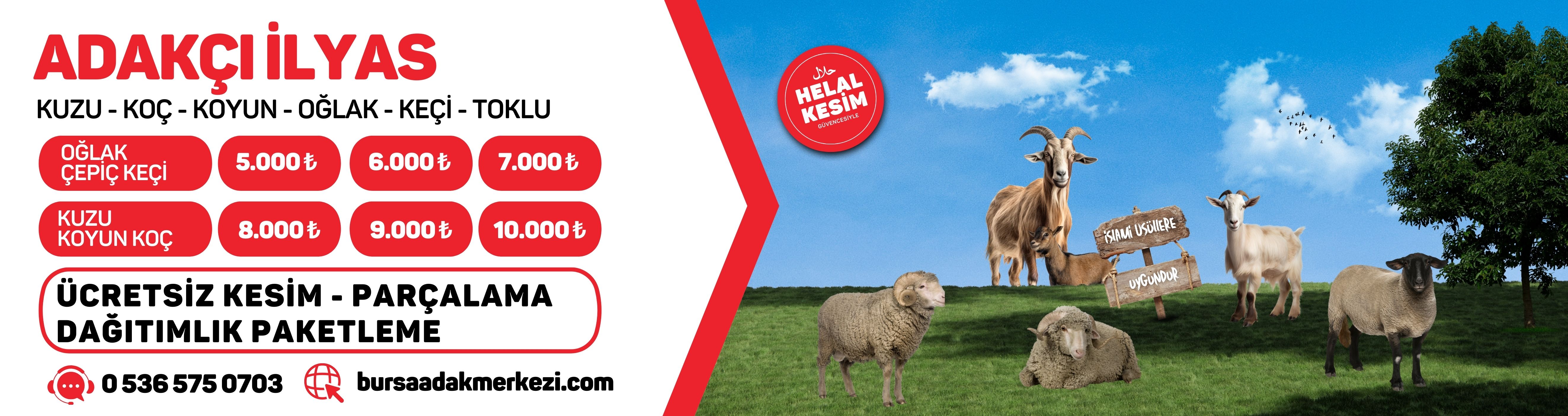 Adakçı İlyas - Bursa Adak Merkezi, Adaklık, Kurbanlık Satış ve Kesim Yeri
